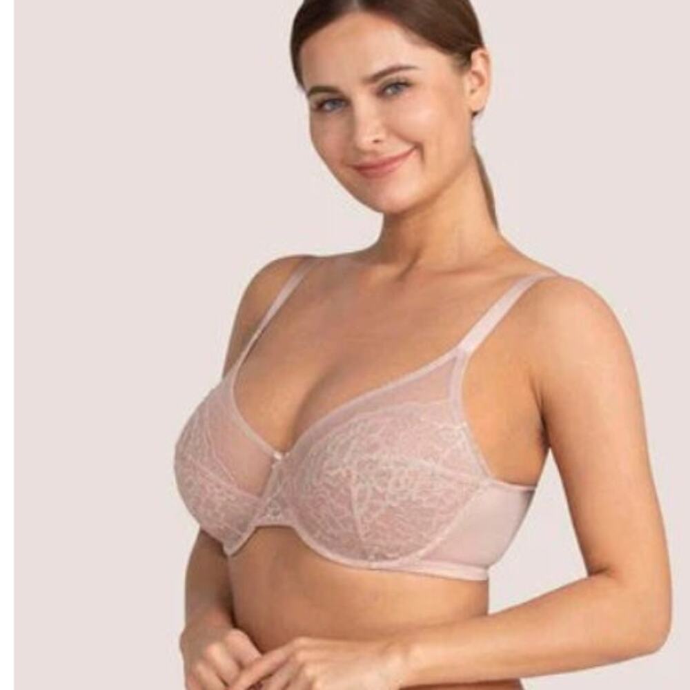 HSIA Enchante Beige Lace Underwire Bra Size 40C NWT